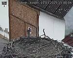 Capi_Dubne_20250311_150004.jpg