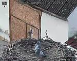 Capi_Dubne_20250311_160003.jpg