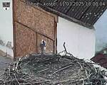Capi_Dubne_20250311_180004.jpg