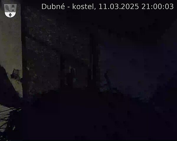 Capi_Dubne_20250311_210003.jpg (1350 x 1080)