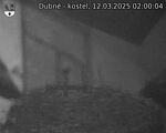 Capi_Dubne_20250312_020004.jpg