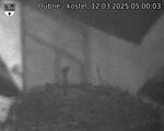 Capi_Dubne_20250312_050003.jpg