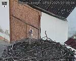 Capi_Dubne_20250312_070004.jpg