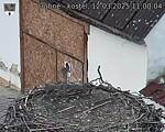Capi_Dubne_20250312_110004.jpg