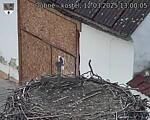 Capi_Dubne_20250312_130005.jpg