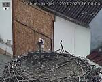 Capi_Dubne_20250312_160004.jpg