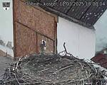 Capi_Dubne_20250312_180004.jpg