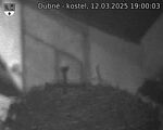 Capi_Dubne_20250312_190003.jpg