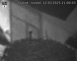 Capi_Dubne_20250312_210003.jpg