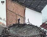 Capi_Dubne_20250313_070004.jpg