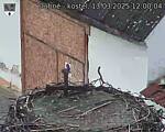 Capi_Dubne_20250313_120004.jpg