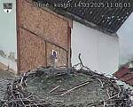 Capi_Dubne_20250314_110003.jpg