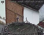 Capi_Dubne_20250314_140003.jpg