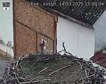 Capi_Dubne_20250314_150004.jpg