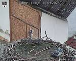 Capi_Dubne_20250315_090004.jpg