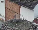 Capi_Dubne_20250315_110004.jpg