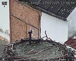 Capi_Dubne_20250315_130004.jpg