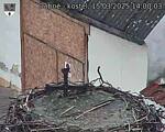 Capi_Dubne_20250315_140003.jpg