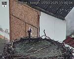 Capi_Dubne_20250315_150004.jpg