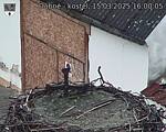 Capi_Dubne_20250315_160005.jpg