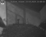 Capi_Dubne_20250315_230003.jpg