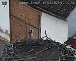 Capi_Dubne_20250316_100004.jpg