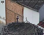 Capi_Dubne_20250316_120004.jpg