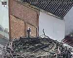 Capi_Dubne_20250316_160004.jpg