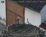 Capi_Dubne_20250316_170003.jpg