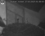 Capi_Dubne_20250317_010003.jpg