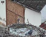 Capi_Dubne_20250317_090003.jpg