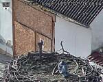 Capi_Dubne_20250317_160004.jpg