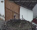 Capi_Dubne_20250317_170005.jpg