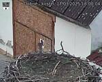 Capi_Dubne_20250317_180004.jpg