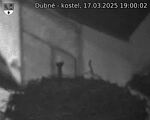 Capi_Dubne_20250317_190002.jpg