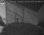 Capi_Dubne_20250318_050003.jpg