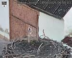 Capi_Dubne_20250318_060003.jpg