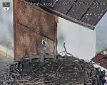 Capi_Dubne_20250318_090004.jpg