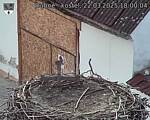Capi_Dubne_20250322_180004.jpg
