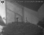 Capi_Dubne_20250322_190003.jpg
