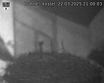 Capi_Dubne_20250322_210003.jpg