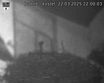 Capi_Dubne_20250322_220003.jpg