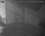 Capi_Dubne_20250323_010002.jpg