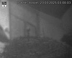 Capi_Dubne_20250323_030003.jpg