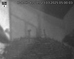 Capi_Dubne_20250323_050003.jpg