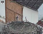 Capi_Dubne_20250323_110003.jpg
