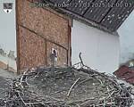 Capi_Dubne_20250323_120003.jpg