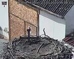 Capi_Dubne_20250323_140003.jpg