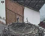 Capi_Dubne_20250323_170003.jpg
