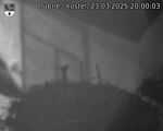 Capi_Dubne_20250323_200003.jpg
